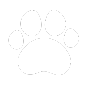 Pet Insurance - An Post Insurance