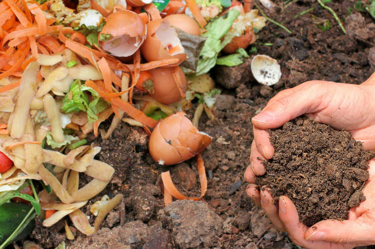 At home composting | How to reduce your waste | An Post Insurance