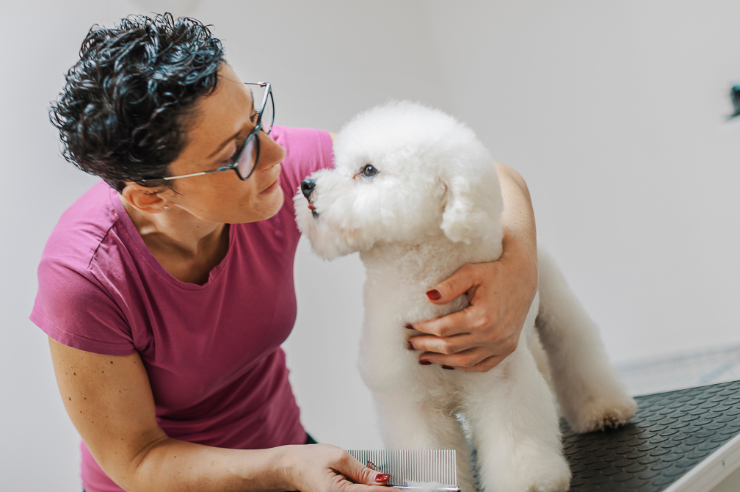 Dog Being Groomed | Tips for Grooming Pets at Home | An Post Insurance