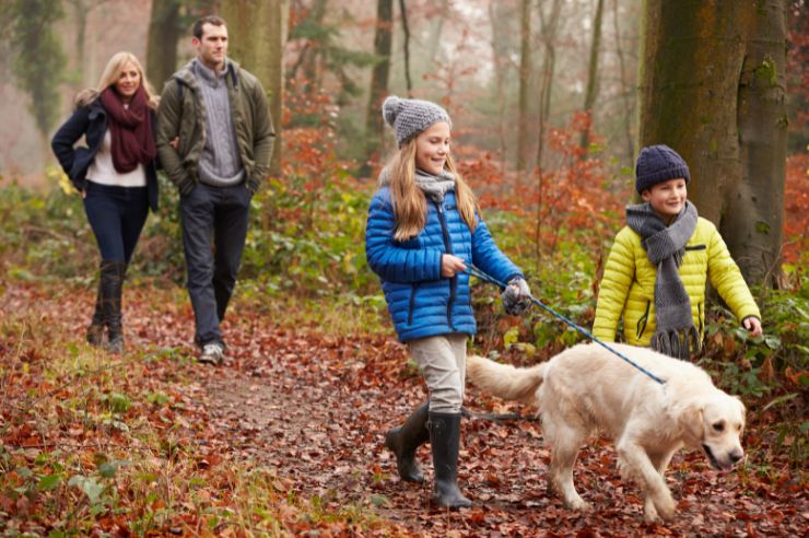 Family on a forest walk with their pet dog | An Post Insurance