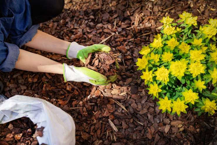 Woman gardening | Home Insurance | An Post Insurance